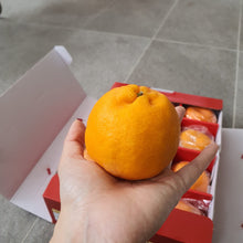 Load image into Gallery viewer, Festive Goodies: 23A Ponkan x 12 pcs (2 KG)