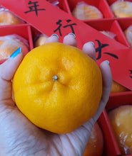 Load image into Gallery viewer, Festive Goodies: 25A Ponkan x 20 pcs (4 KG)