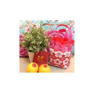 Festive Gifts: Non-woven Mandarin Orange Pouch